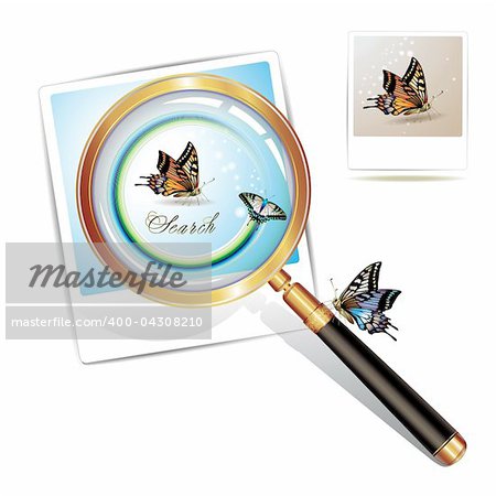 Magnifying glass over a photo with butterfly isolated on white background