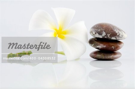 White frangipani and therapy stones on grey background