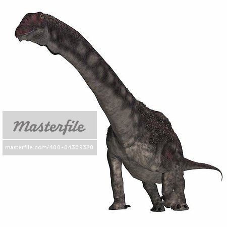 Dinosaur Diamantinasaurus. 3D rendering with clipping path and shadow over white
