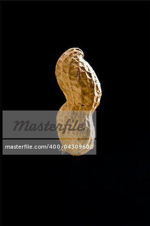 Isolated closeup of peanut in shell on black background