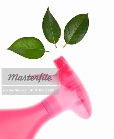 Environmentally Friendly Cleaning Bottle Spraying Leaves Cleaning Concept Isolated on White with a Clipping Path.