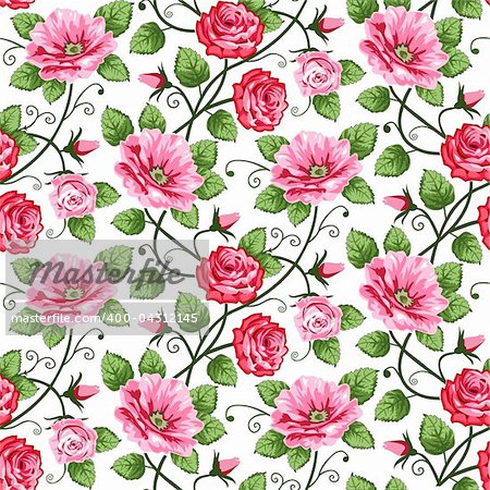Vector roses seamless pattern on white, repeating design.