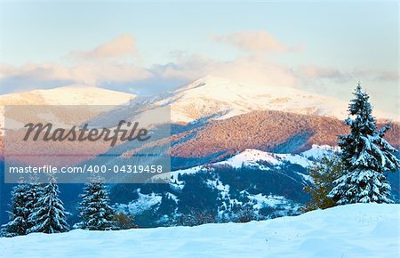 winter sunset mountain landscape with rime and snow covered spruce trees  (Carpathian, Ukraine)