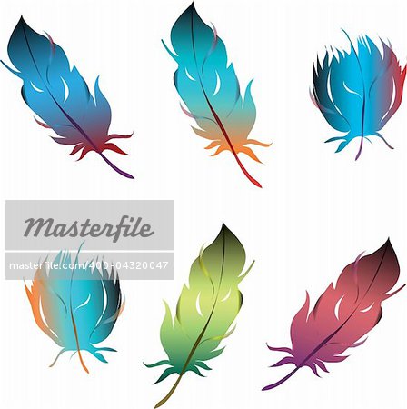 isolated feathers set object on white background