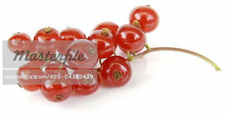 Red currant branch isolated on white background