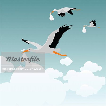 vector illustration of storks