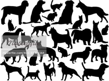 cats and dogs - vector