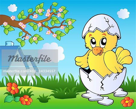 Meadow with cute chicken in egg - vector illustration.