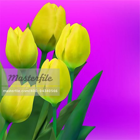 Bunch of tulip flowers on the table. EPS 8 vector file included