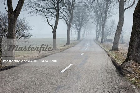 An image of a road with trees in bavaria germany
