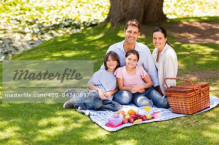 Joyful family picnicking in the park