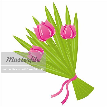 bunch of tulips isolated on white
