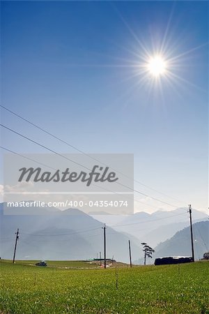 Rural scenery with green farm under blue sky and bright sunlight in Fushoushan Farm, Taiwan, Asia.