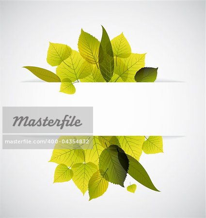 Spring leafs abstract background with place for your text