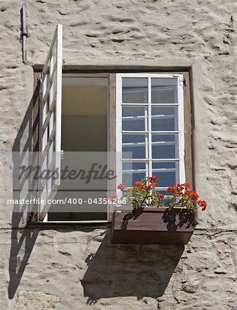 Window with a flowerpot outside in a european town