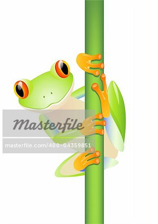 Cute toad vector illustration