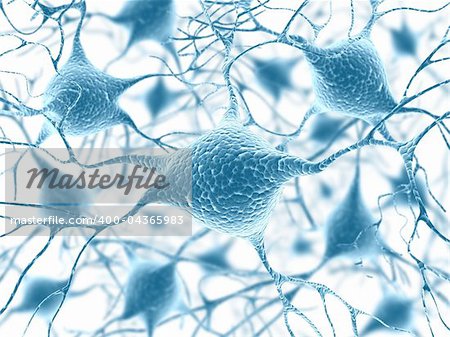 Neurons and Nucleus (Structure of the brain)