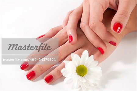 manicure woman hand with white flower