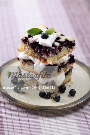 Delicious homemade blueberry cake with whipped cream. Shallow DOF