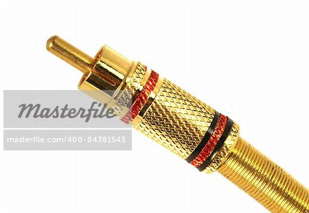 Golden plated RCA connector isolated in white