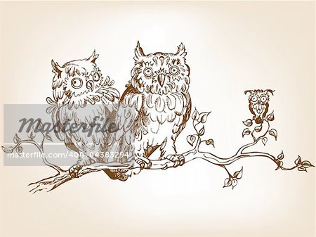 Three hand drawn funny owls, sitting on tree  branch.