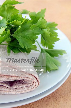 plates with a linen napkin and a sprig of parsley - organic menu