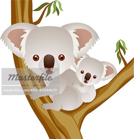 Koala vector