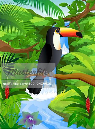 Toucan bird in the nature