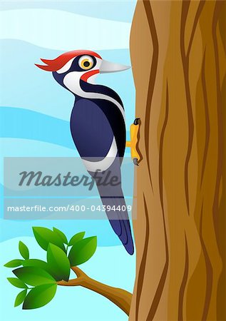 Woodpecker cartoon