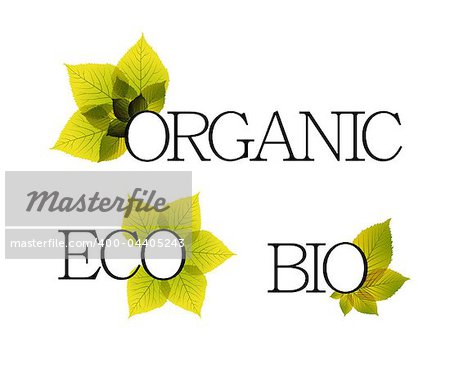 Bio, organic and eco labels with detailed floral elements
