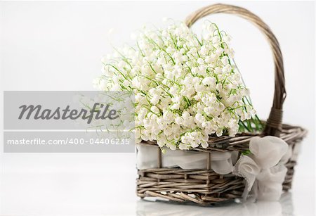 Basket with lilies of the valley on white background
