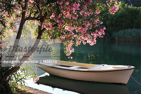 Boat on Ombla river near Rozat, Croatia