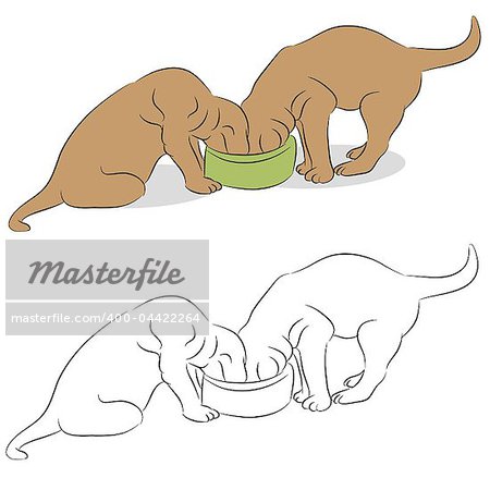 An image of a two Labrador puppies eating from a dog bowl.