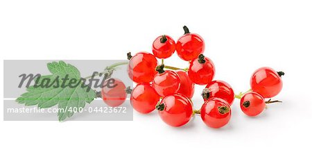 Sprig of red currant with leaf isolated on white background