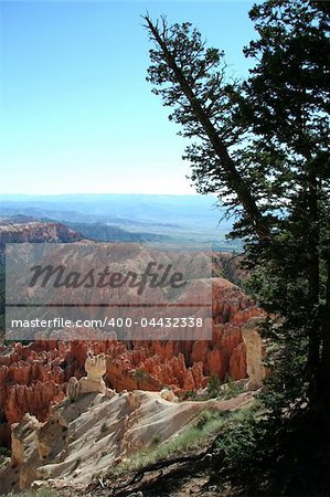 Bryce Canyon National Park - Utah - USA