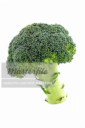 Fresh and healthy broccoli isolated on white background