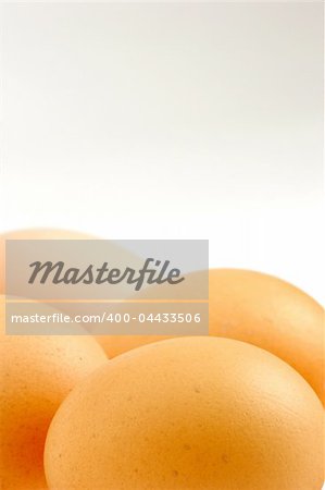 Multiple Eggs set against a plain background