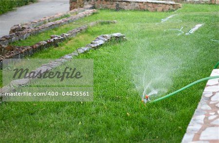 sprinkler, garden hose, green lawn, short dept of field