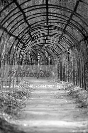 The image of an arch in park. b/w