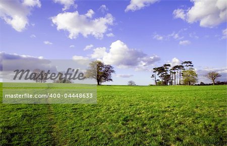 Green field with trees and bright blue sky. Essex, Great Britain