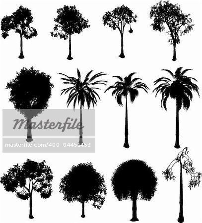 Collection of silhouette trees over a white background