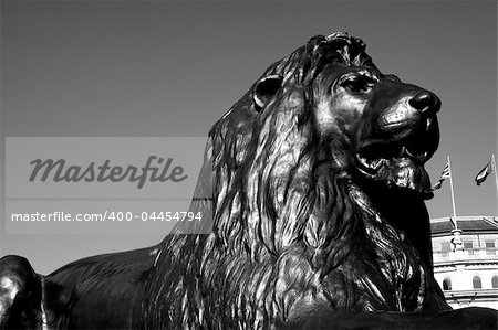 Lion from Nelson's Column in Trafalgar Square