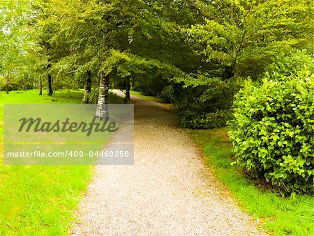 country house and stately home of lanhydrock bodmin cornwall england uk path through woodland