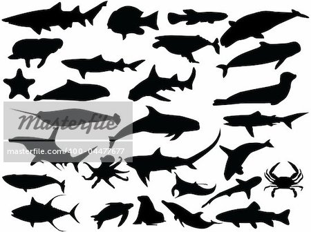 Vector silhouettes of sea creatures.