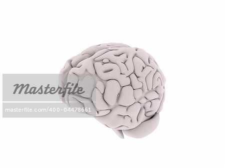 3d rendered illustration of a human brain