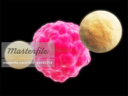 3d rendered illustration of two killer cells and one cancer cell