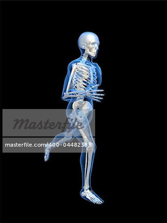 3d rendered anatomy illustration of a running skeleton