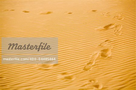 desert landscape Erg Chebbi Near Merzuga, Morocco