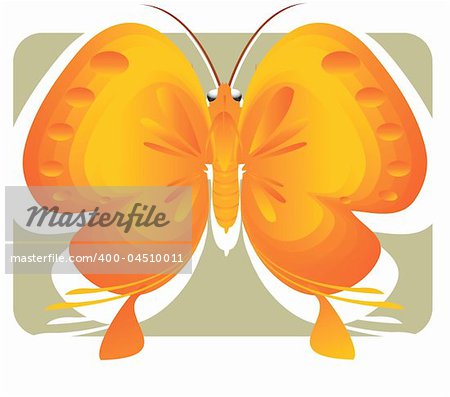 Illustration  of Butterfly in  Multi Coloured,