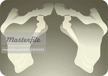 Illustration of human pelvic bones